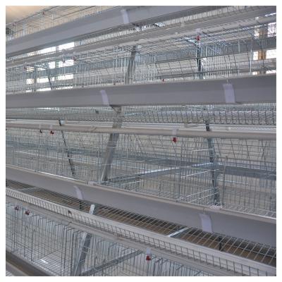 China Complete Automatic Chicken Cage 40 Thousand Europe Design Battery Layer Broiler Cage Systems With Egg Collection System for sale