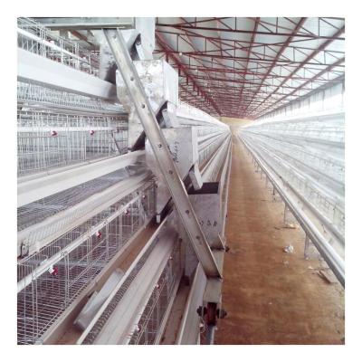 China Full automatic chicken cage 50 thousand layer chicken cage broiler hot dip galvanized cages for open house for sale