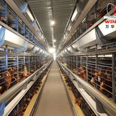 China Full automatic hot sale design chicken egg layer cage poultry farm battery automatic chicken cage for laying hens for sale