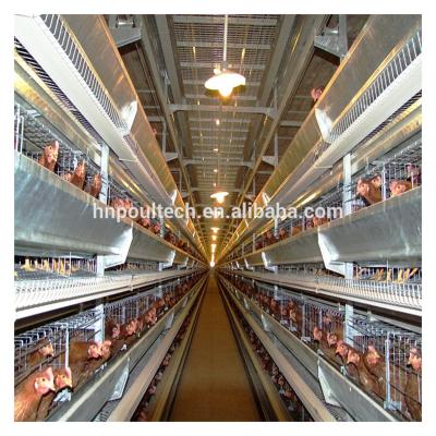 China Fully Automatic Chicken Poultry Farming Equipment Practical H Type Cage Chicken Layer Cage for sale