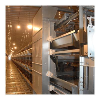 China Commercial Chicken Feeding Customized Designed Low Cost Automatic Fertilizer Clean Battery Chicken Layer Cage for sale