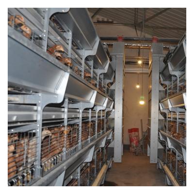 China 192 Poultry Field Guinea Poultry Farm Pullet Full Automatic H Type Stacked Cages for sale