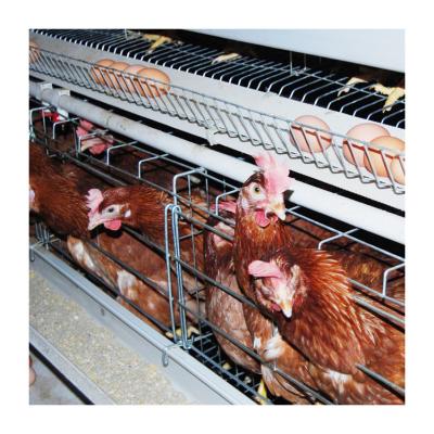 China Durable Automatic Battery Cage Poultry Cage For Sale Egg Layer Chicken Cage Chicken Cage for sale