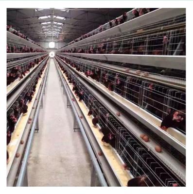 China Cultivate Automatic Poultry Farm Equipment Layer Layer Chicken Battery Cage For Sale In Angola for sale