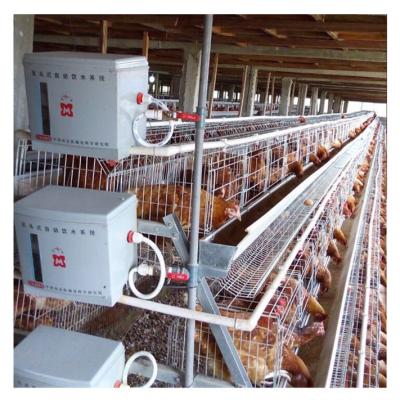 China Farms Poultry Layer Cage And Hen Cage With High Quality A Type Automatic Chicken Egg Collection Machine for sale