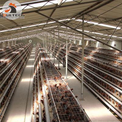 China Automatic Easy Clean Poultry Farm One Type Galvanized Layer Egg Laying Chicken Battery Cage System for sale