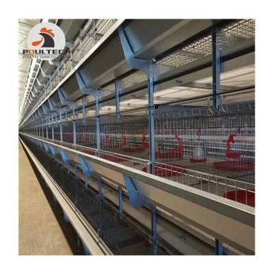 China Farms Price Cheap Automatic Fertilizer Removal Poultry Broiler Cages Chicken Cage for sale