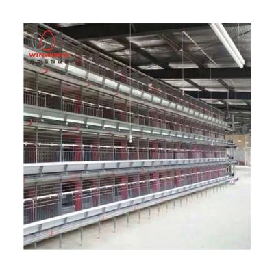 China Farms Good Price Low Budget Battery Egg Collection Machine Poultry Farm Cages Breeder Cage for sale