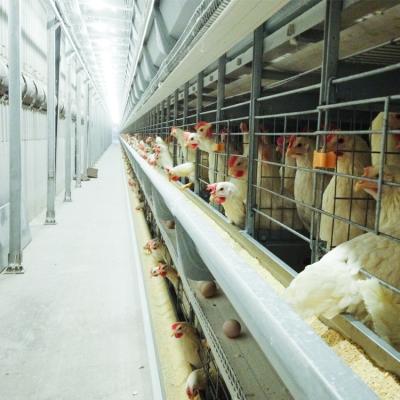 China Automatic Chicking Farm Chicken Cage Zambia Poultry Farm Sale 4 Tier Layer Chicken Battery Installation Cage Equipment for sale