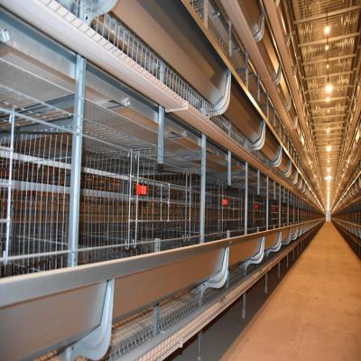 China Poultry Farms Battery Layer Chicken Durable Modern Design H Type Automatic Egg Cages for sale