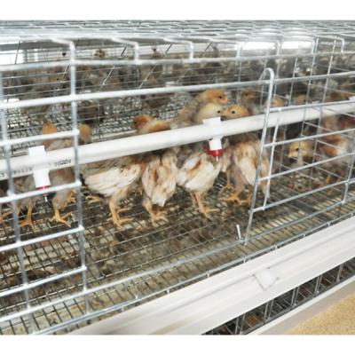 China Poultry Field Silver Three-Layer Automatic Brood Cage Equipment For Poultry Farms for sale