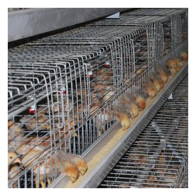 China Cost Effective Multifunctional Electric Multilayer Poultry Field Chicken Feeder for sale