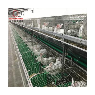 China Good Price Two Tiers Full Automatic Breeder Rabbit Kid Rabbit Cages For Breeding Farm for sale