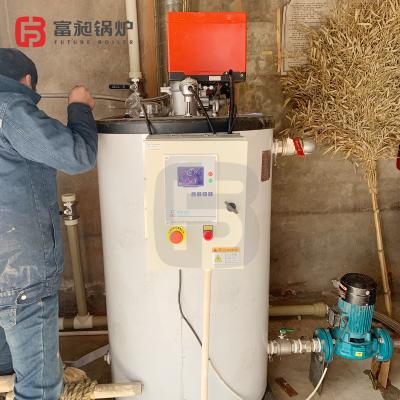 China VERTICALE Gas Fired Vertical Industrial 200kg Hot Water Boiler For Bath for sale