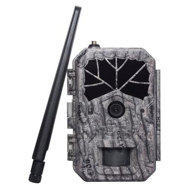 China Boly 4G LTE Wireless Cellular Deer Hunting Trail Camera with GPS Scout Wild Camera BG636 36MP Black IR Cloud Service Field of View 110 Degree for sale