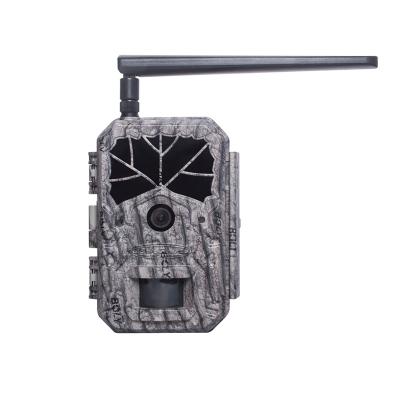 China BolyGuard Wireless BG636-48M 940nm No Glow IR Hunting Camera GPS 4G Lte Night Vision Sound Recording Wireless Black Trail Camera for sale