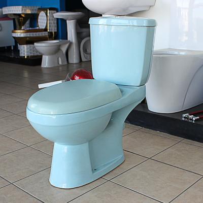 China Double-flow high quality economic washdown blue color toilet for sale for sale