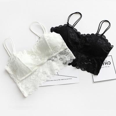 China Antibacterial Lace Bottoming Short Strap Vest Chest Pad Wrapped Chest Women Bra Tops Lace Strap Wrapped Chest Shirt Underwear Top Bras for sale