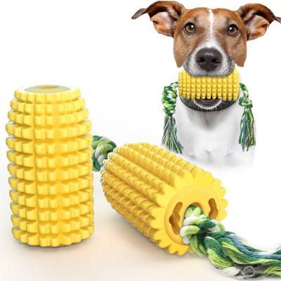 China Newcomer 2022 Viable Remove TPR Dental Computation Corn Grind Teeth And Molar Rope Dog Stick Pet Chew Toy for sale