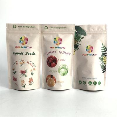 China Free Sample Custom Made Moisture Proof Custom Printed Biodegradable Compostable PLA Coffee Packaging Pouch Backing Up Kraft Paper Bag With Zipper for sale