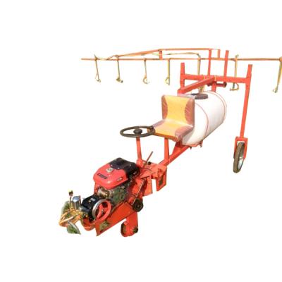 China High Efficient Sprayer Mini Boom Agricultural Sprayer Portable Pesticide Sprayer for sale