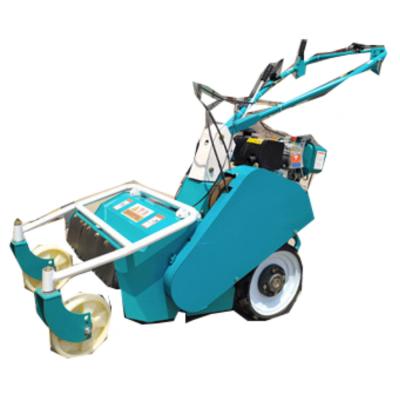 China Handheld Self Propelled Type 178 New Orchard Farms Air Cooled Diesel Crusher for sale