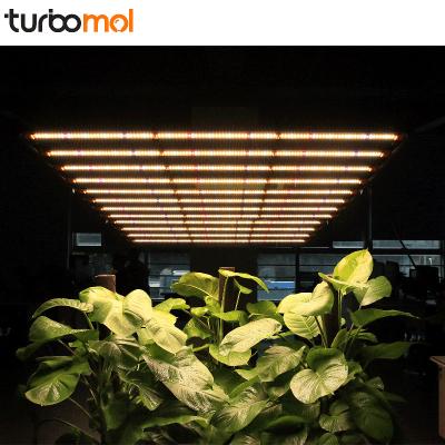 China TURBOMOL FLOWER Full Spectrum Grow Lights 650W 770W 800W 1000W 1200W 1500W LED Grow Light 730nm For Indoor Plant Seed Veg Flower for sale