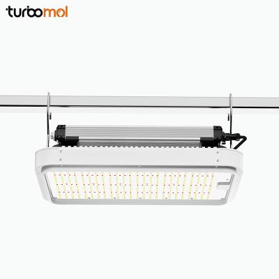 China Seed Starting Turbomol 600w Grow Lights Lm301b Lm301d 660nm Red Full Spectrum Led Grow Light For Indoor Tent for sale