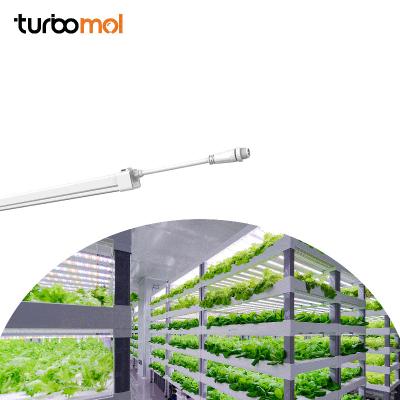 China Seed Starting Turbomol 36 Watt Led Clone Grow Light Full Spectrum 18w T5 Plants 6500k Hydroponic Grow Lights Waterproof for sale