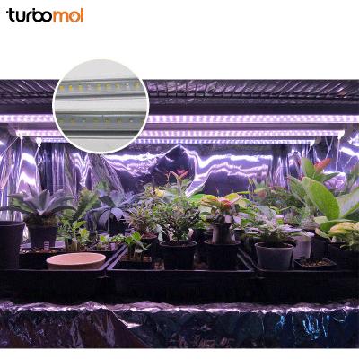 China Seed Starting Farm Microgreen Vertical White Grow Lamp T5 18w 36w With Blue & Red Full Spectrum LED Grow Light For Clone Veg Stage for sale