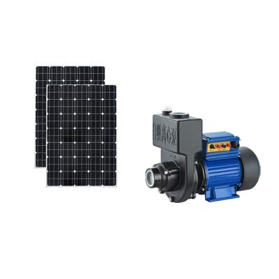 China Auto Industry China Supplies New Type Irrigation Agriculture Centrifugal Pumps Kit Solar Pumping Water for sale