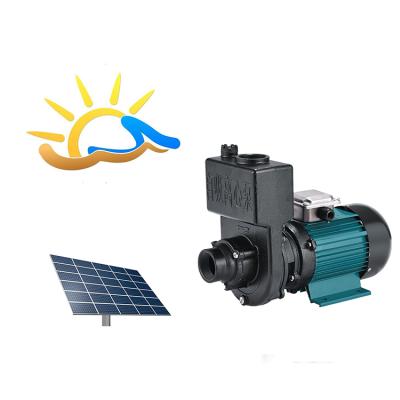 China Automotive industry portable solar centrifugal pumps agriculture and irrigation pumps water pump for sale