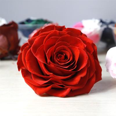 China Natural Fresh Rose With 7-8cm Preserved Rose Head Stem Wholesale Yunnan Kuming A Grade Natural For Decorative Flower Garlands for sale