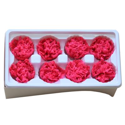 China Natural Fresh Rose with Flower Valentine's Day 4-5cm Preserved Mother's Day Everlasting Carnation Flower Stem Natural Carnation Gift Box DIY Gift Box Everlasting Bouquet Accessories for sale