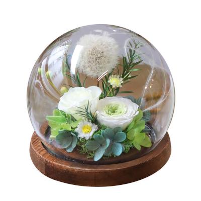 China 2021 Fashion New Product Eternal Dandelion Flower Preserved Dandelion In Glass Dome for sale