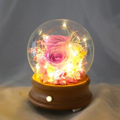 China Natural Fresh Rose With Natural Stem Preserved Roses Wholesale Single Austin Roses Eternal Life Bluetooth Speaker Music Box Hood Glass Glow Rose for sale