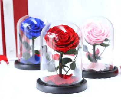 China Gift on Sale Mini Glass Preserved Flower Wholesale Eternal Rose in Glass Dome for Home Decoration for sale