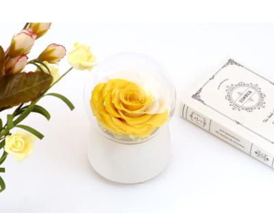 China Natural Fresh Rose With Stem Natural Crystal Ball Rose Music Box Preserved Flowers Music Box Rotating Fresh Roses Preserved Flower Music Box Birthday Gift for sale