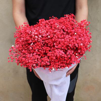 China Natural Fresh Rose with Natural Dry Preserved Baby Paniculata Gypsophila Stem Flowers Breath Flower Bouquets Gift for Wedding Decoration Home Decor for sale