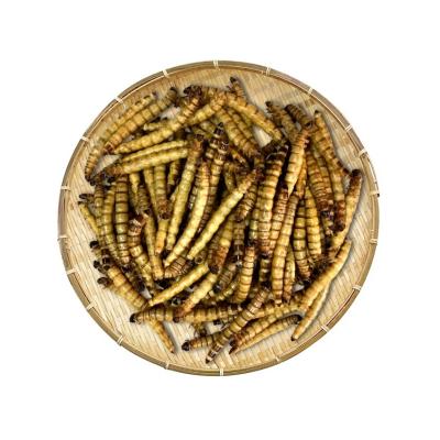 China Dried Superworm/animal food/pet food ingredients for sale