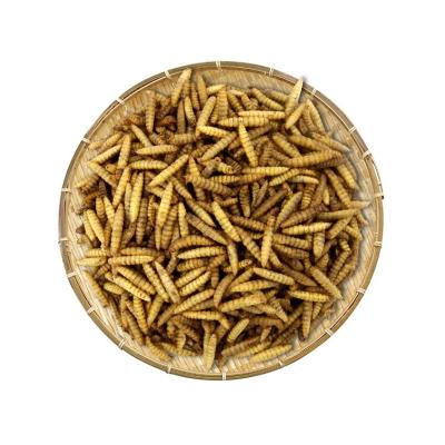 China Dried Black Soldier Fly Larvae/protein&calcium for animal feed for sale