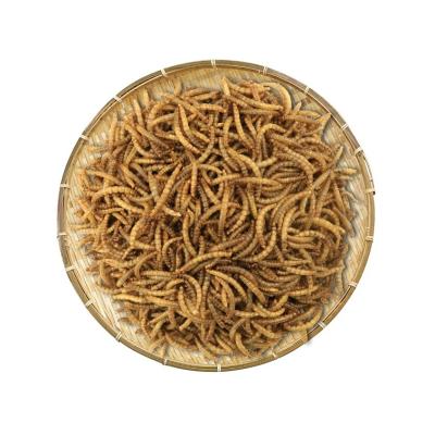 China Dried Mealworm/Rich in vitamins A and B/pet food/animal feed/Poultry feed for sale