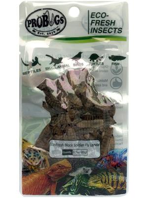 China Eco-fresh Black Soldier Fly Larvae/Pet food/Animal feed for sale