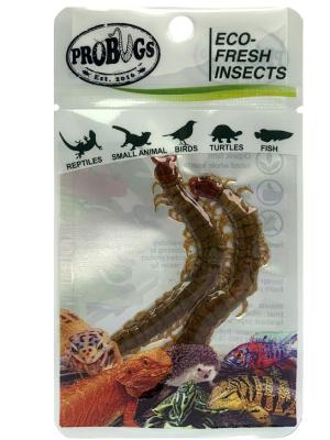 China Eco-fresh Centipede/fish/Aquarium for sale