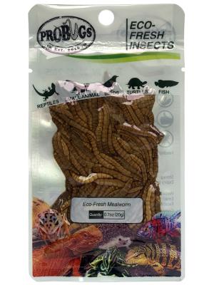 China Eco-fresh Mealworm/poultry/feed grade/pet food for sale