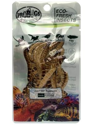 China Eco-fresh Superworm/protein for pet food for sale