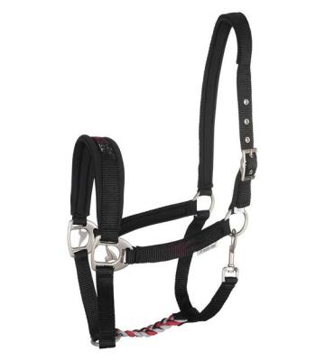 China Fashion Style Durable Hot Sale Loose Shape Leather Padded Adjustable Nylon Horse Halter for sale