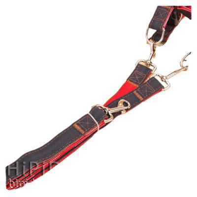 China Medium Style Durable Dog Leash Vest And Adjustable Anti-bite And Breathable Small Dog Leash for sale