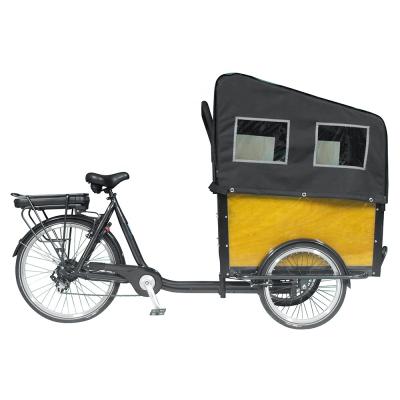 China Factory Direct Electric Tricycle Bike 3 Wheel Steel For Adults for sale