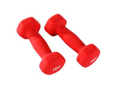 China Home Use Fitness Equipment Round Head Dumbell/Hex Coated Dumbbell for sale